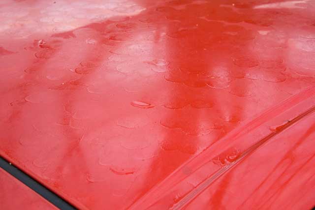 car covered in maple sap