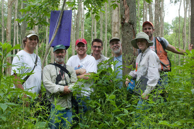 EAB researchers