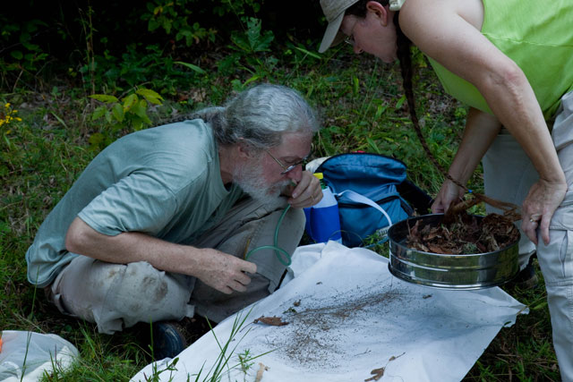 Bio-blitzers examine insects