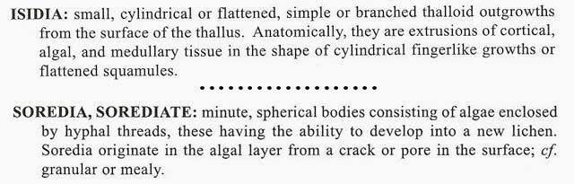 glossary definitions
