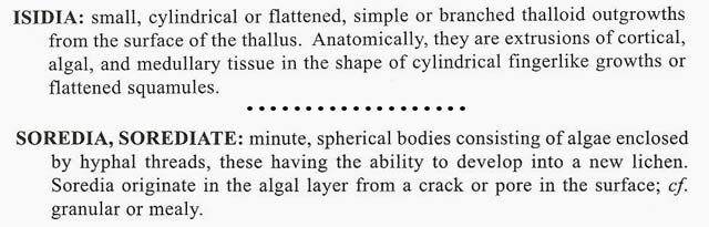 glossary definitions