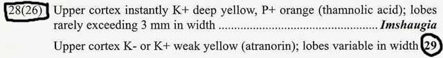 macrolichen key K test couplet