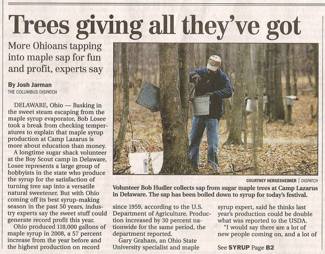 sugar maple article