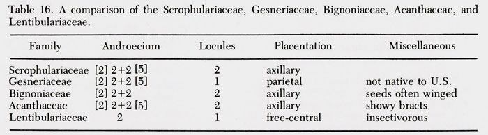 plant families table