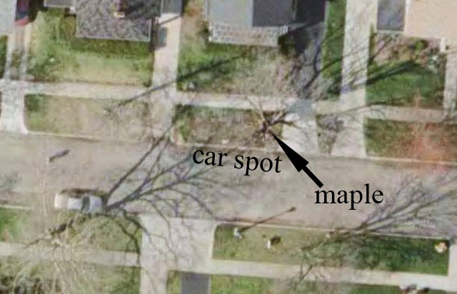 google earth maple view