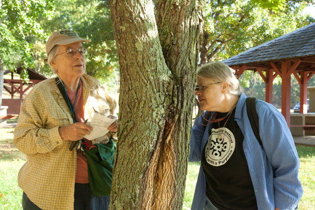 Bon and Diane look at bark