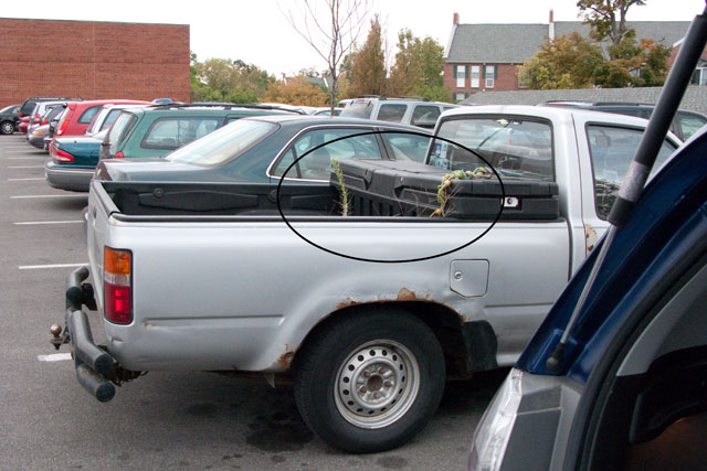 pick-up truck plant reserve