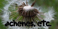 achenes etc.