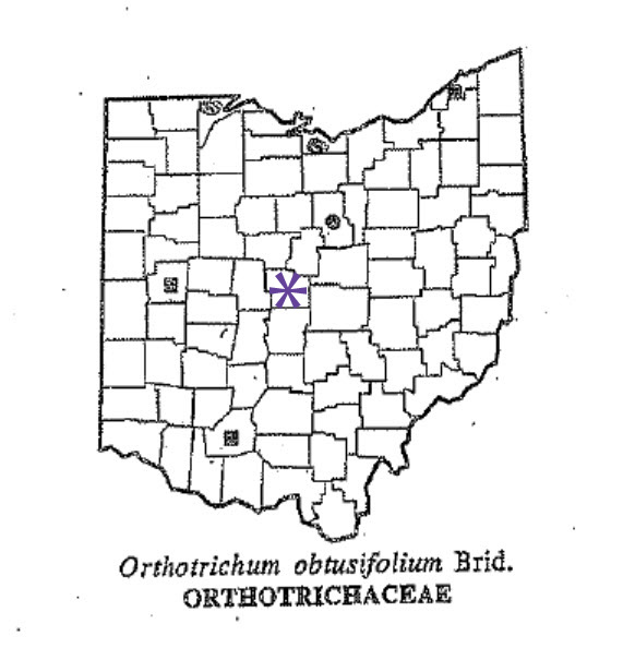 Orthotrichum obtusifolium range map