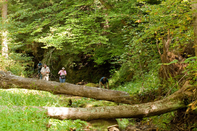 Shade River State Forest