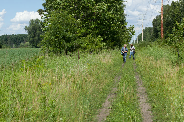 Wabash Cannonball Trail