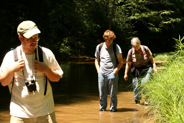 walking in the creek