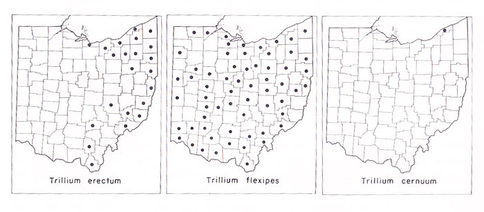 trillium map